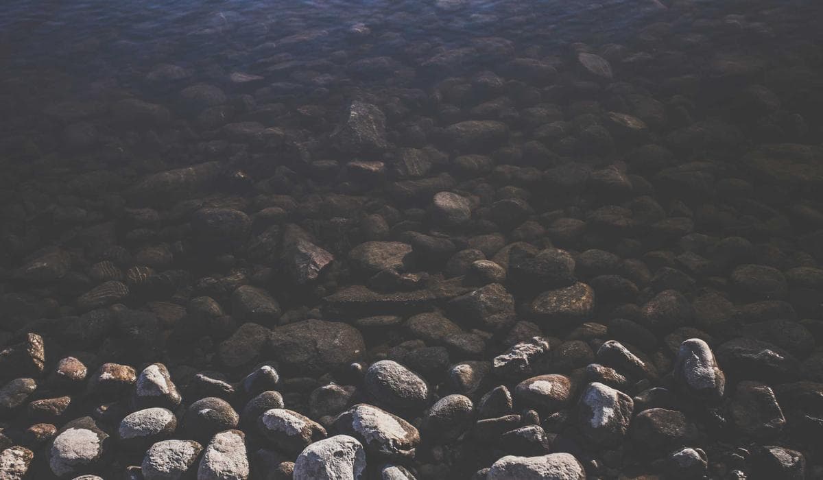 The Grande Parade for Bastille Day