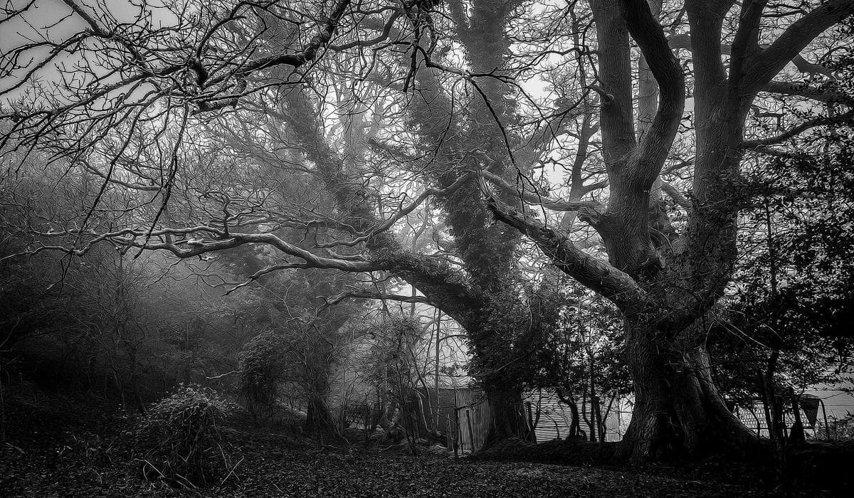 Secrets d’Histoire: An interview with Stéphane Bern